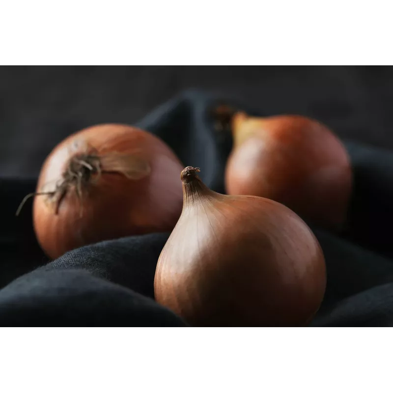 Sochaczew Onion Toraf Vegetable Seeds, 5g Pack