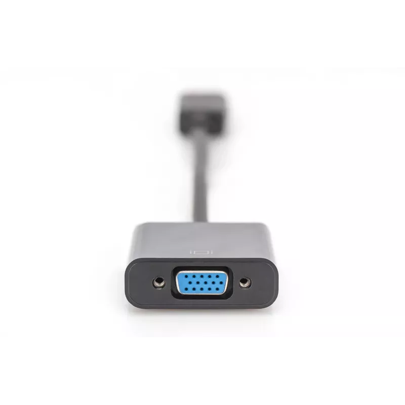 Digitus DisplayPort Adapter / Converter