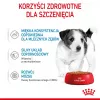 ROYAL CANIN SHN Mini Puppy in sauce - wet puppy food - 12X85g
