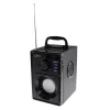 Wireless speaker MEDIA-TECH MT3179, 20W (RMS 15W), Bluetooth 5.1, FM, MicroSD, USB, AUX, Li-Ion, 6 h, wooden housing