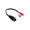 Alcasa AD-2CS5B Audio-Cable 0,2 m 2 x RCA DIN (5-pin) Black - Red - White (AD-2CS5B)
