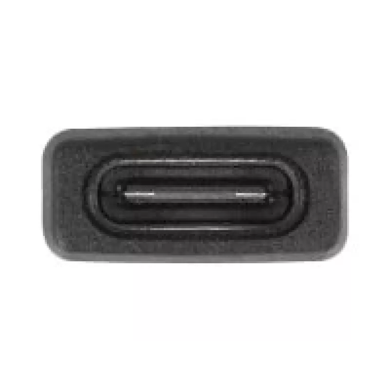 DeLOCK 60001 Cable Gender Changer USB A USB C Black
