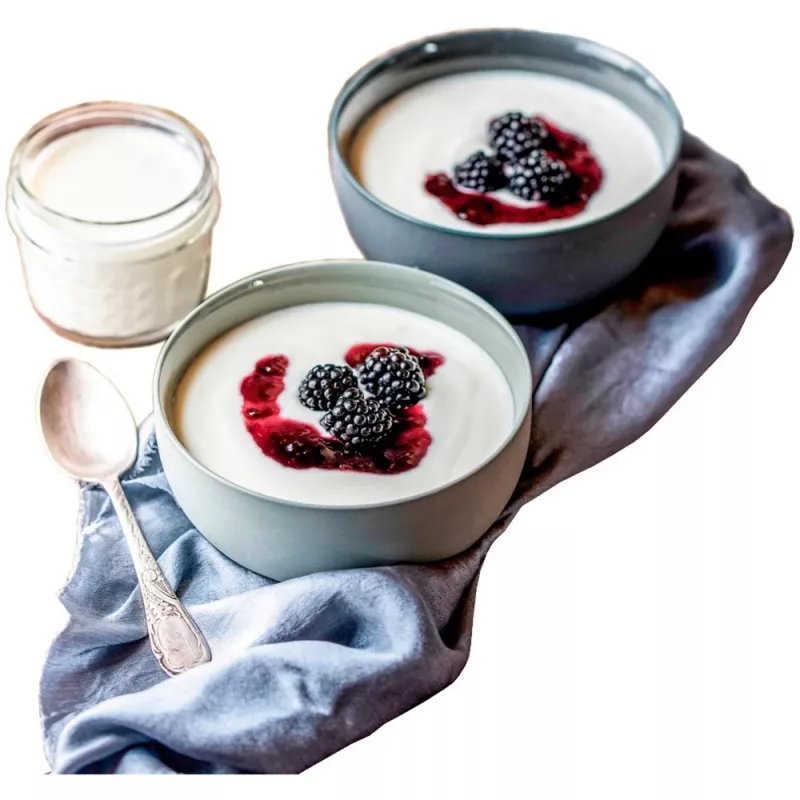 Rommelsbacher JG 80 Yoghurt Maker 1,2 l Cottage Cheese - Yoghurt 20 W (JG80)