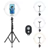 Agfa Arl11xl Ring Light Led Ring 11 + Stand + Remote