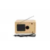 Denver TR-63LW radio Personal Analog Bamboo, Silver