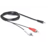 Audio cable DeLOCK 84000 1.5m 2xRCA 3.5mm Black