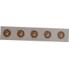 RFID NFC security tag SCOT NTAG213 18 mm transparent, pack of 10