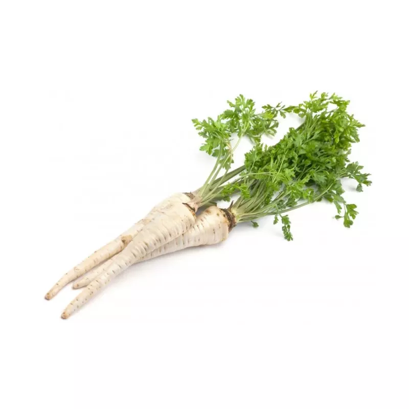 Apte Parsley Half-Long tape 6m — parsley variety, late, high-yield