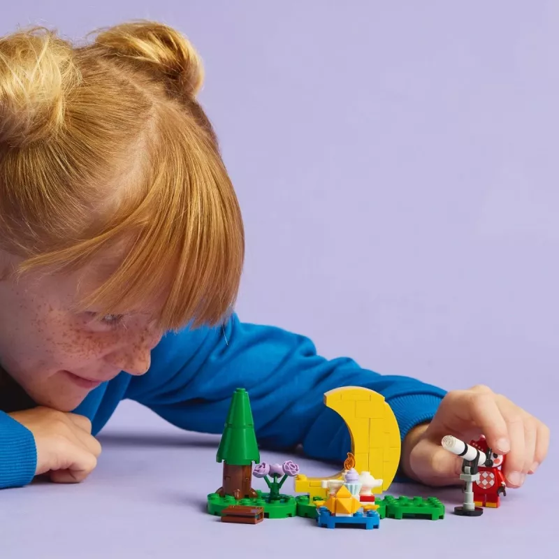 Construction toy LEGO Animal Crossing Stargazing with Eufemia set 77053