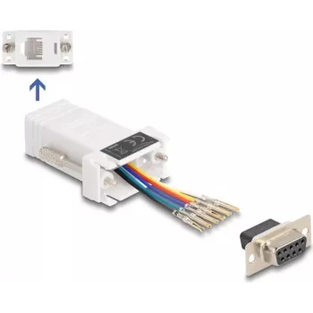DeLOCK 67078 cable gender changer D-Sub 9 RJ12 White