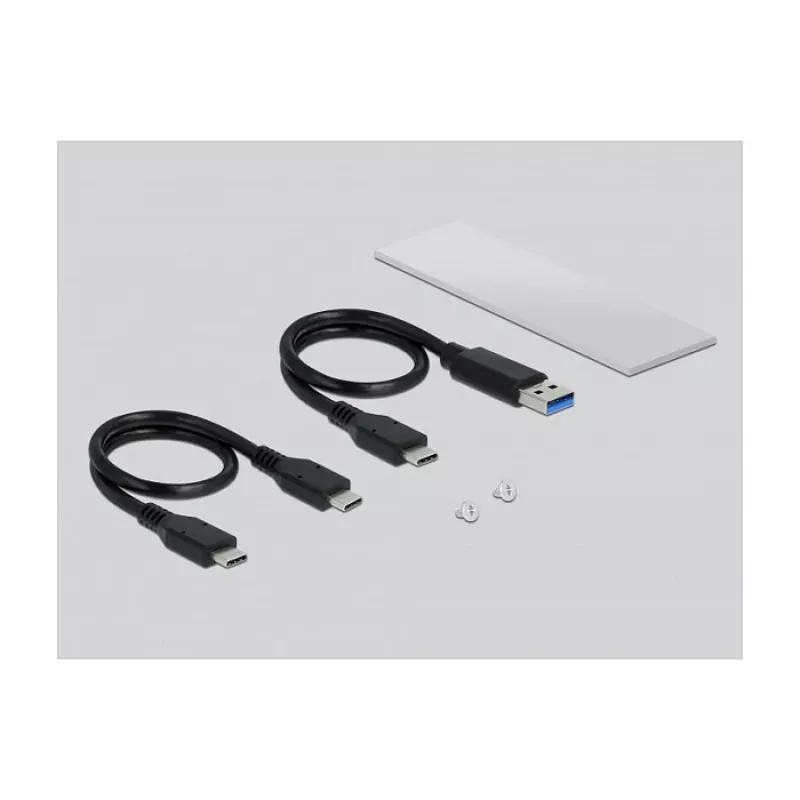 SSD enclosure DeLOCK 42634 Silver M.2