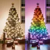 Smart Holiday String Lights NANOLEAF 1D STARTER KIT 250 LED 20 m IP44 (NF084K02-20XLS)