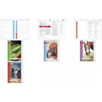 Notebook ROTH Leguan A5 Lined — 104 sheets, ruled paper, softcover