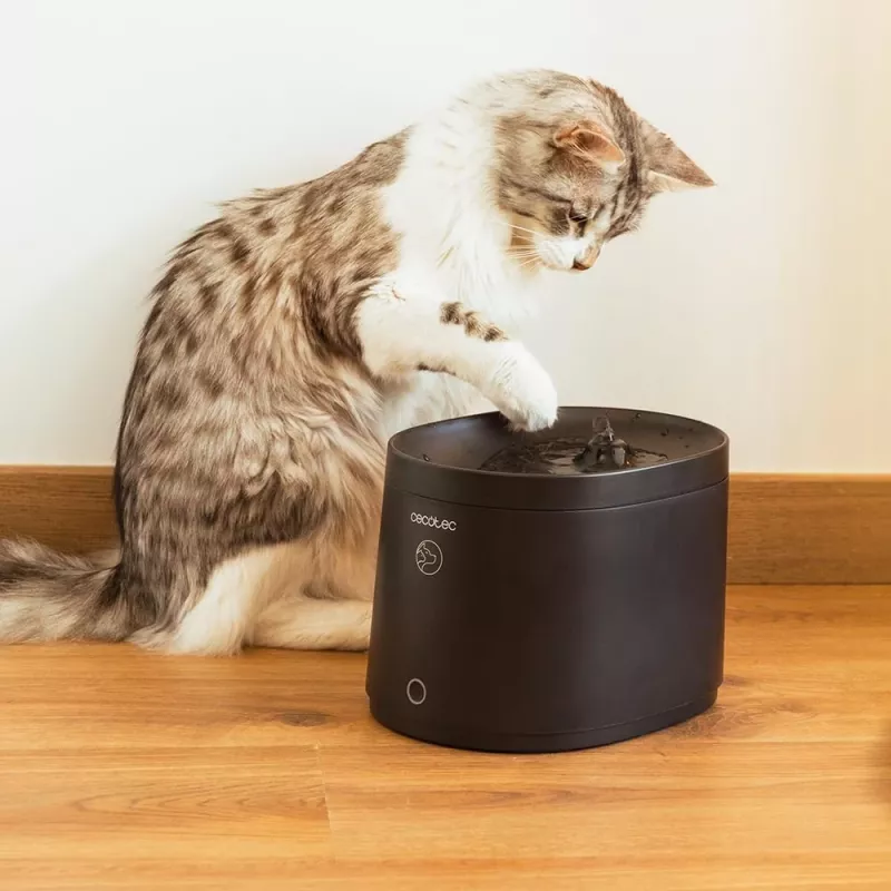 Pet water fountain CECOTEC Pumba 2500 Refresh Smart Pet Fountain, model 9563