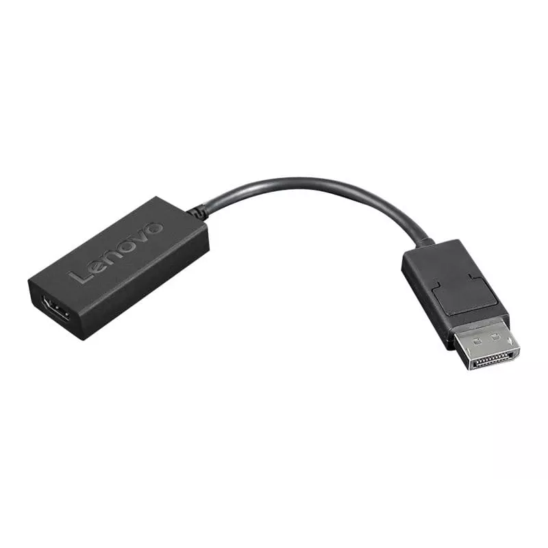 Lenovo 4X90R61023 video cable adapter 0.225 m DisplayPort HDMI Type A (Standard) Black