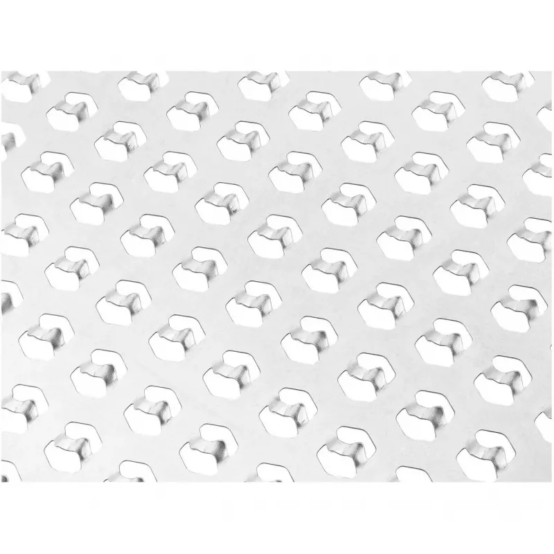 Flat grater ZWILLING 36610-000-0 Grey