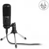 Delock - Microphone - USB - Black (66832)