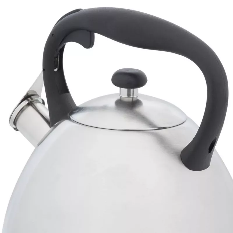 Resto Kitchenware 90601 kettle 3 L Stainless steel