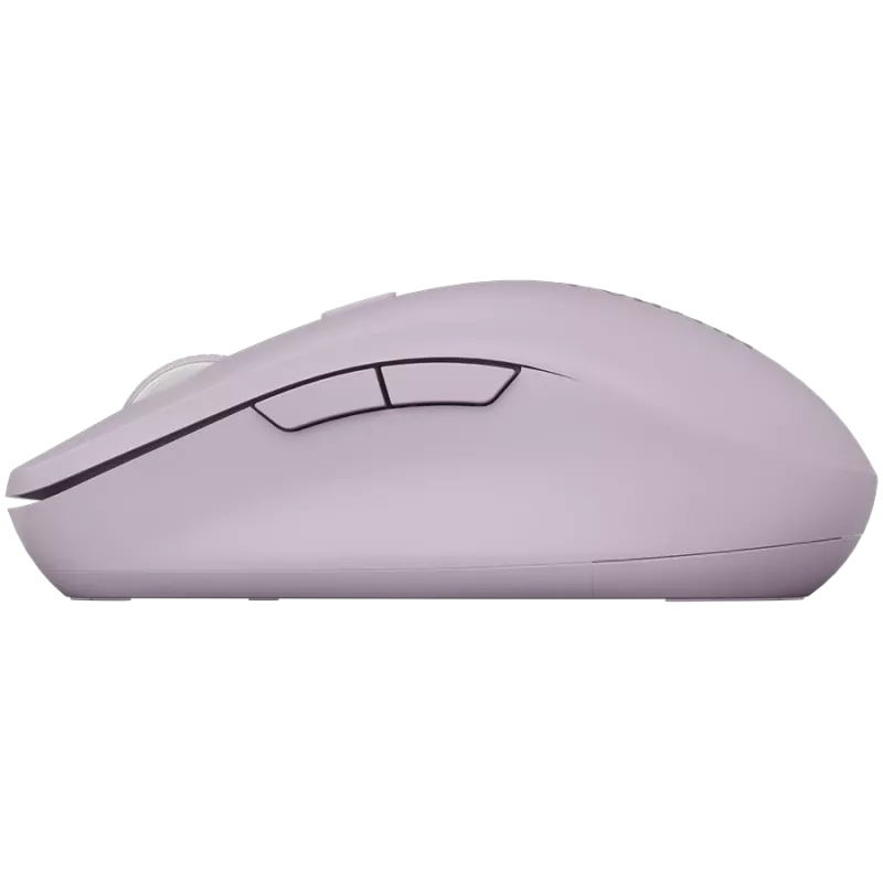 CANYON mouse MW-12 Dual band Wireless Pink