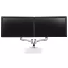 ERGOTRON LX Dual Side-by-Side Arm silver polished aluminium