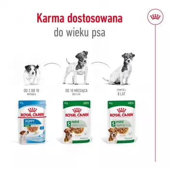 Wet dog food Royal Canin Mini Adult sachet 85 g, poultry, for small breeds 5–10 kg, 12 × 85 g pack