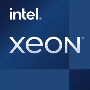 Intel Xeon E-2378G processor 2.8 GHz 16 MB Smart Cache Tray
