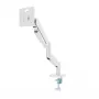 Monitor mount Gembird MA-DA1-04-W clamp stand for 17 inch–32 inch screens, VESA 75x75–100x100, max load 10 kg, white