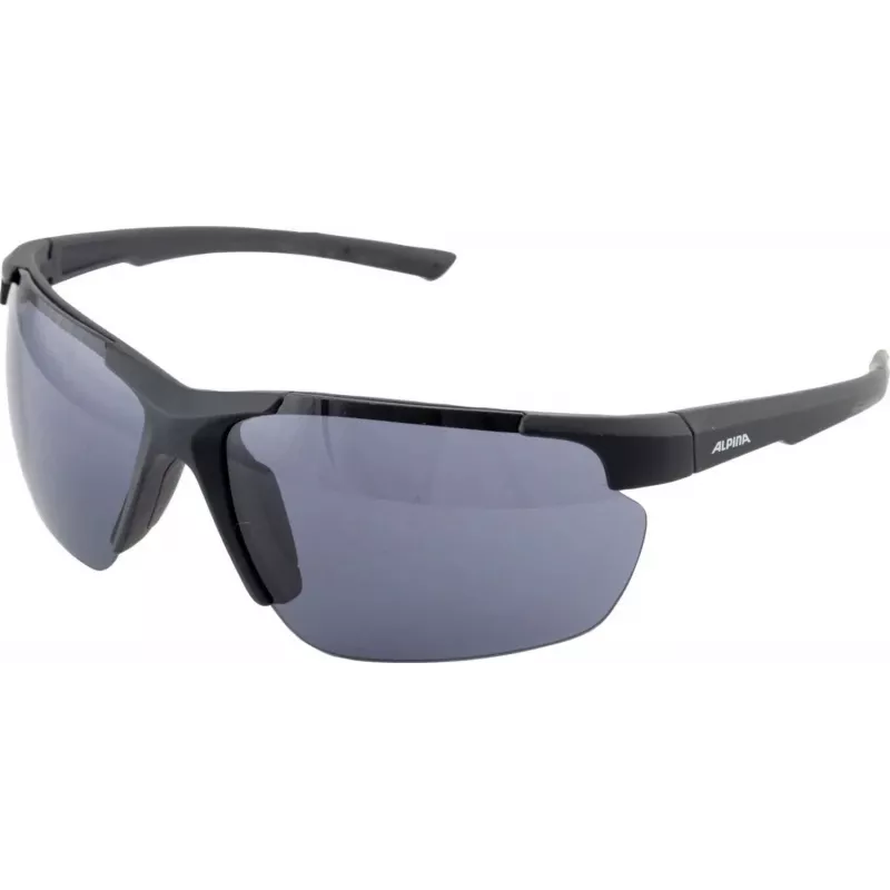 Sunglasses ALPINA DEFEY HR colour BLACK matte Glass black Cat. 3