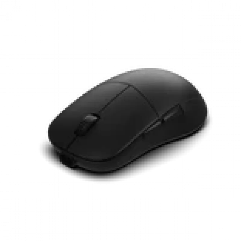 Gaming Mouse Endgame Gear XM2w 4k v2, 4,000Hz