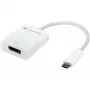 USB Adapter, USB-C Plug > DisplayPort Socket (White, 11cm)