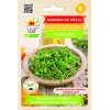 Black Sunflower Seeds PNOS for Sprouting, 20g Pack