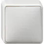 GIRA 010613 Electrical Switch White (010613)