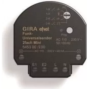 wireless universal transmitter Mini 2-way 545300 (545300)