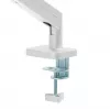 Monitor mount Gembird MA-DA1-04-W clamp stand for 17 inch–32 inch screens, VESA 75x75–100x100, max load 10 kg, white