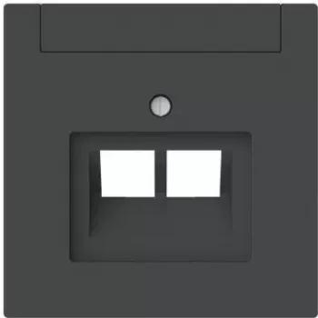 BUSCH-JAEGER 1803-02-45M Zentralscheibe 2-fach UAE Beschriftungsf (2CKA001710A4230)