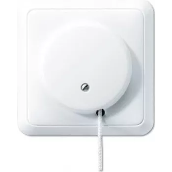 JUNG 5506 to WW - Zugkettenschalter - Wired - White - thermoset plastic - 250 V - 10 A
