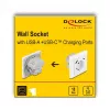 DeLOCK 11499 Socket Outlet Type F with USB A and USB C White