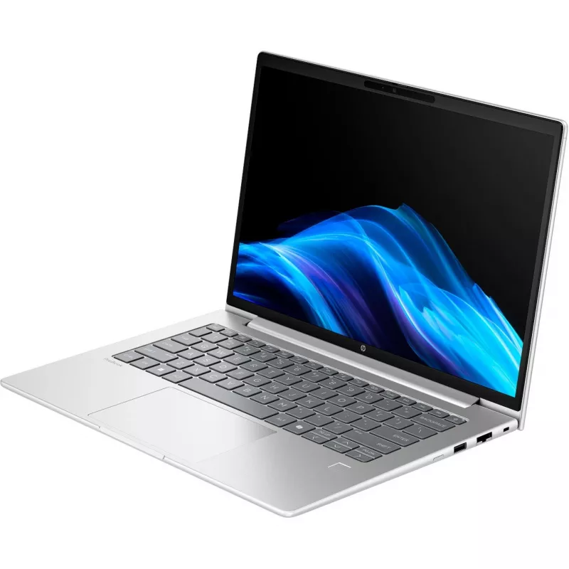 Probook 4 G1a (C07P5ES), Notebook Silver, AMD Ryzen 5 230, AMD Radeon 760M, 24 GB DDR5, 1 TB (1 TB SSD), without Operating System