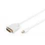 Cable DisplayPort 1.1a mini DP-DVI tyPA MM 2.0m