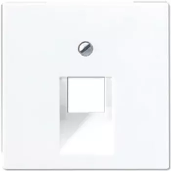 Flush plate JUNG A 569-1 PLUA WW — white duroplast, single-frame compatibility