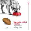 Dry Dog Food Royal Canin Maxi Adult 15 kg — Chicken, 26% Protein, 17% Fat, Digestive Support