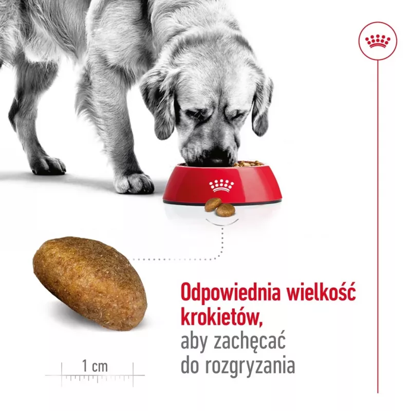 Dry Dog Food Royal Canin Maxi Adult 15 kg — Chicken, 26% Protein, 17% Fat, Digestive Support
