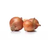 Sochaczew Onion Toraf Vegetable Seeds, 5g Pack