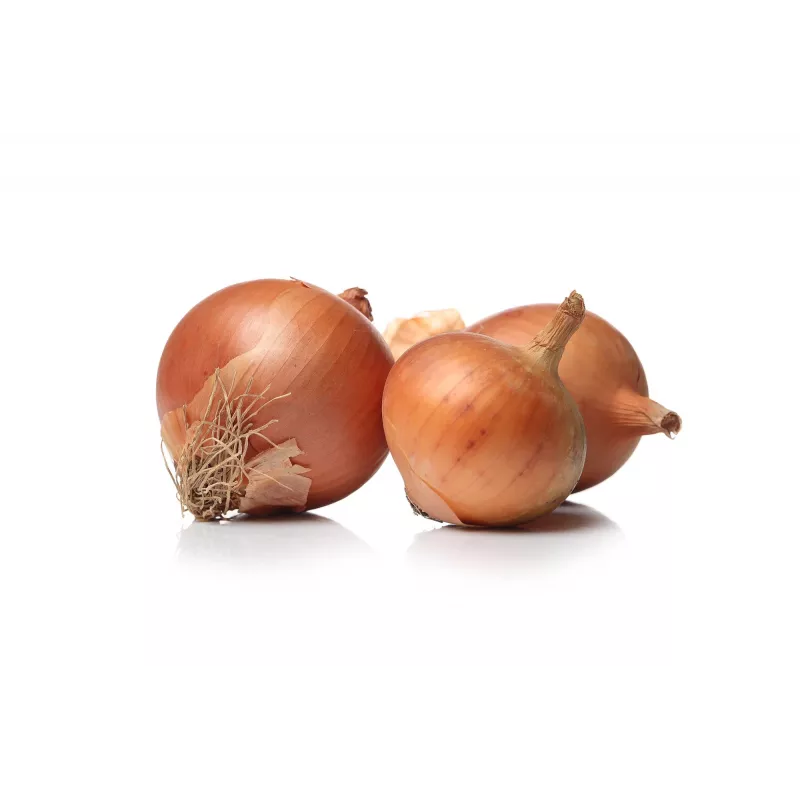 Sochaczew Onion Toraf Vegetable Seeds, 5g Pack