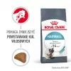 Dry cat food Royal Canin Hairball Care Adult 2 kg — chicken, 34% protein, 15% fat