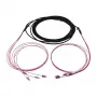 Synergy 21 LWL-Cable Trunk Cable U-DQ ZN BH 4G 50/125 LC/LC OM4 10m Ring - Cable - Multimode Fibre