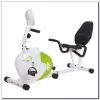 Horizontal magnetic bicycle white and green HMS R9259