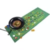 Deluxe Set - Roulette 25 cm, Board Game