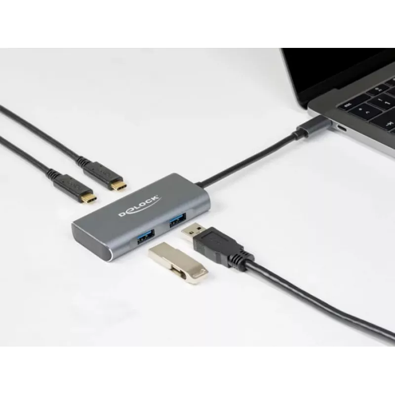 USB Hub DeLOCK External USB 10 Gbps USB Type-C Hub 63260