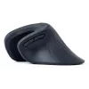 Gembird MUSW-ERGO-03 mouse Home Right-hand RF Wireless Optical 1600 DPI